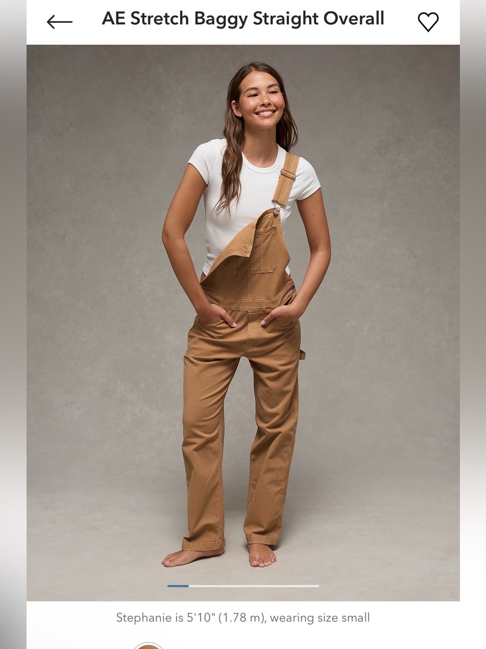 American Eagle Outfitters Tan Stretch Baggy Straight Overalls